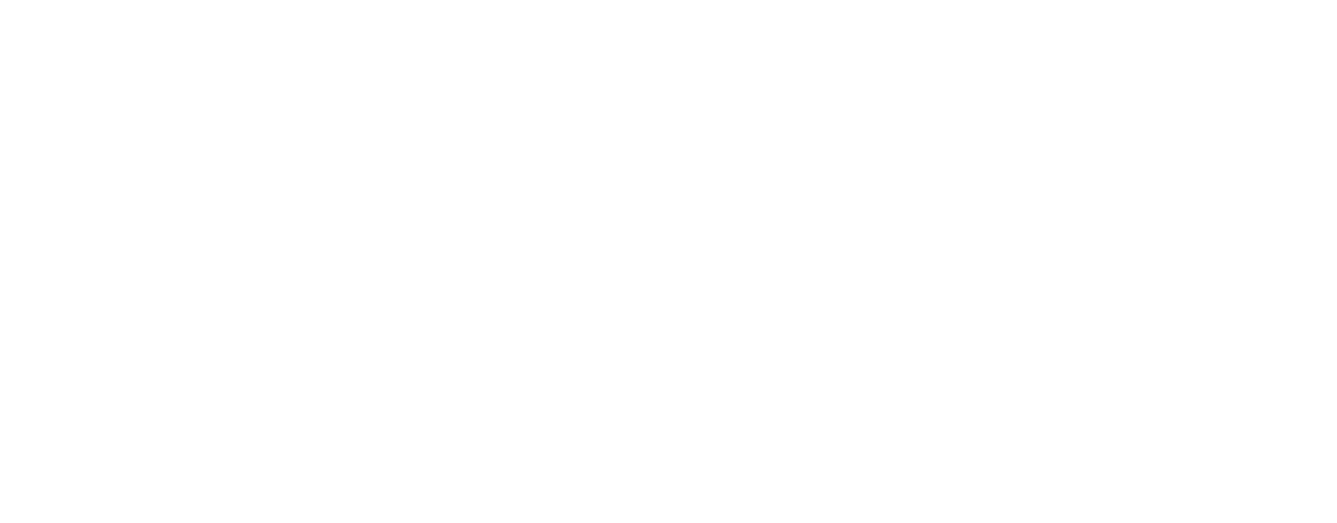 Fürst Gruppe
